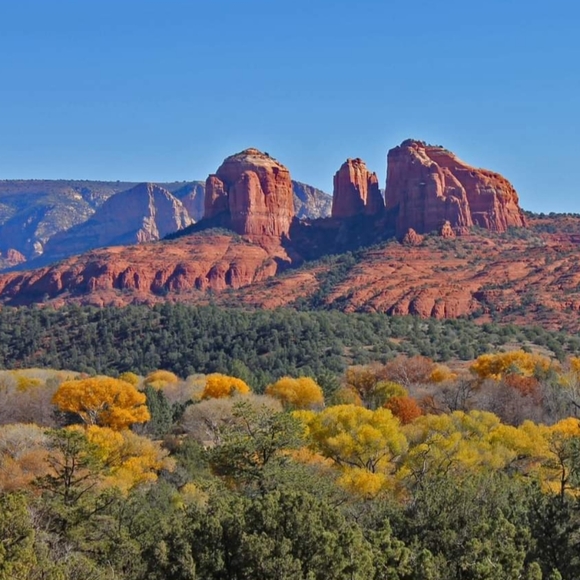 Meet your Posher, Lynnette - Picture 16 of 16